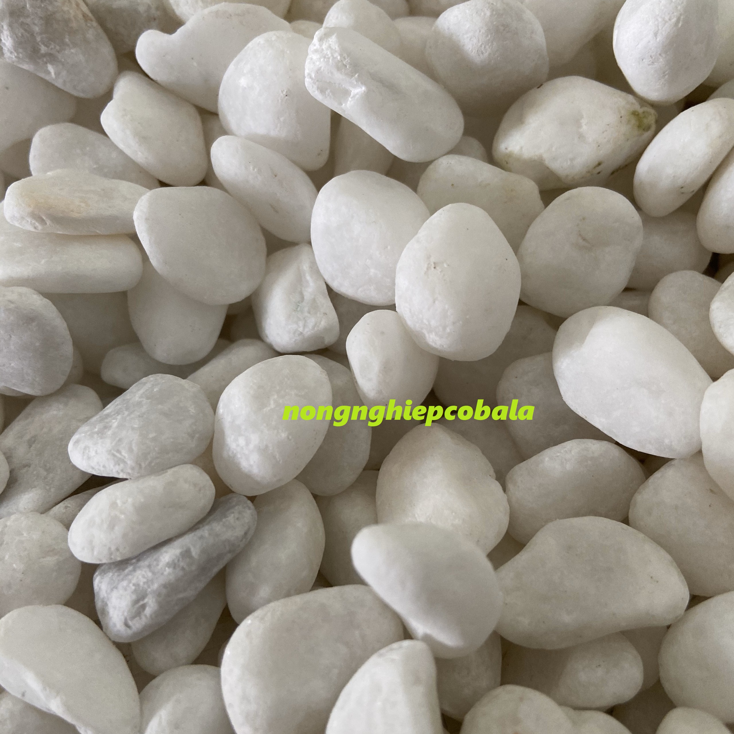 [HCM]Sỏi Trắng Viên 2-3cm Trang Trí Chậu Cây Bể Cá (1kg)