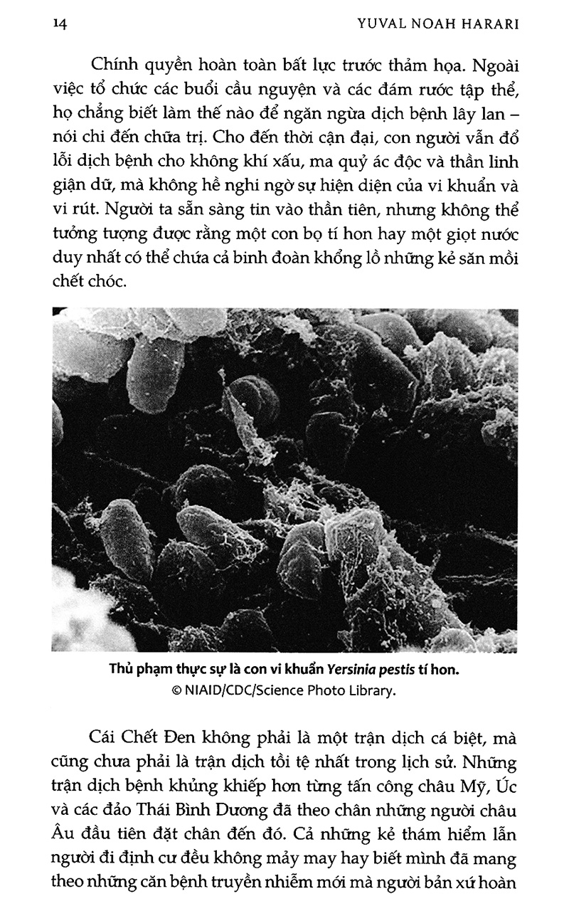 Lược sử tương lai