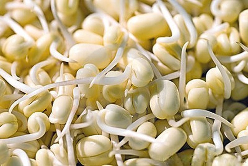 500G Viên Mầm Đậu Nành (Tăng vòng 1 nhanh chóng)