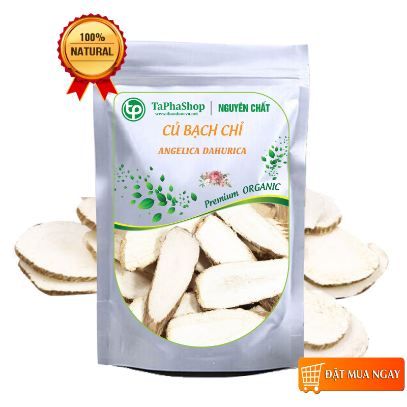 Bạch chỉ khô 100g - tấn phát