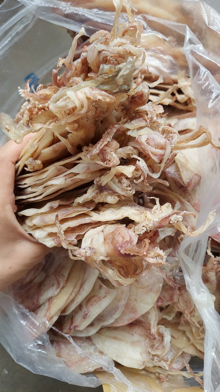 Khô Mực Câu 40-42Con/Kg