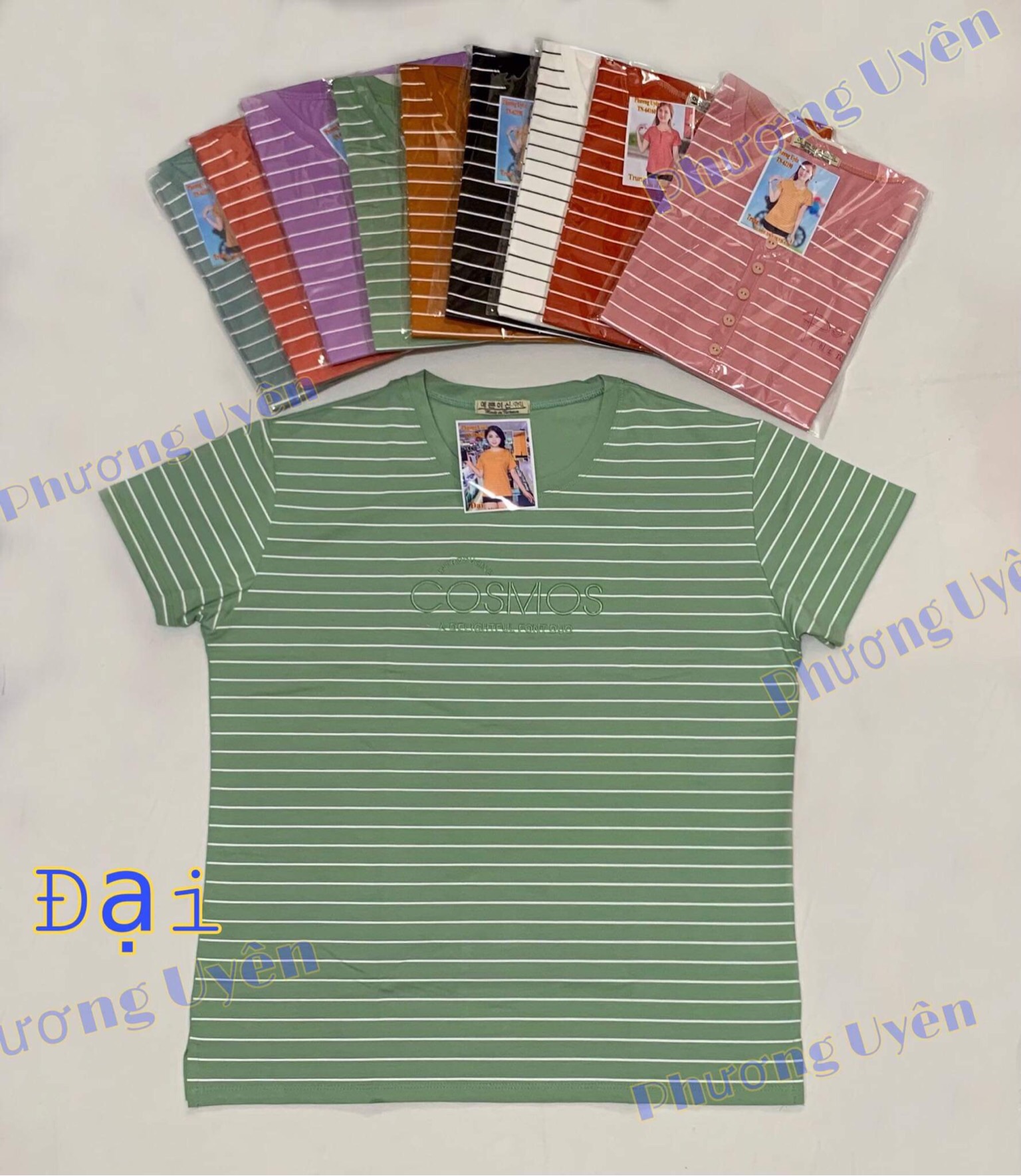 [HCM]Áo thun cotton Quảng Châu size 40-68kg (khách mua xem phần mô tả sản phẩm dùm shop nhé)