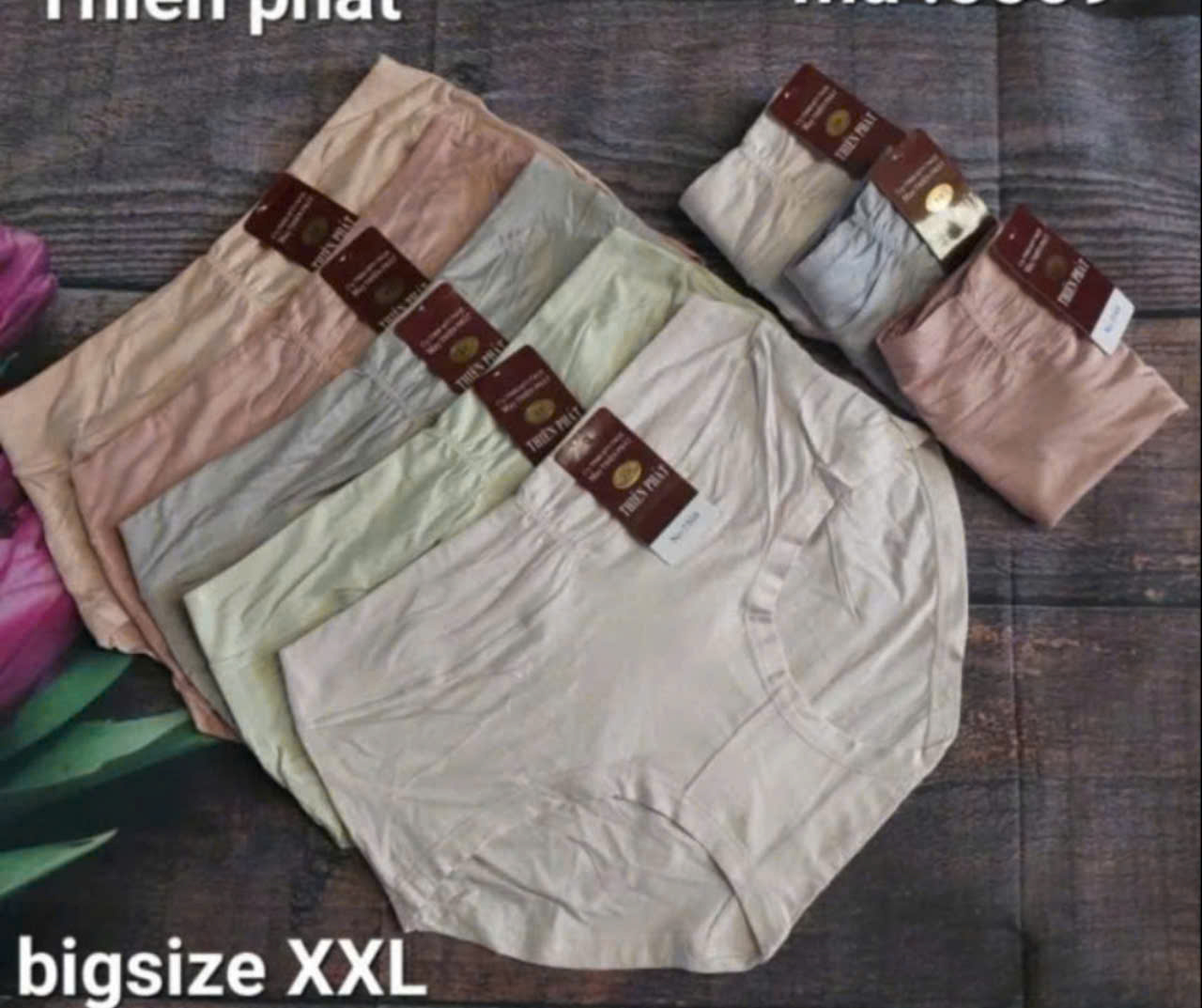 [5509]combo 5 quần lót nữ cotton cao cấp 45kg đến 60kg