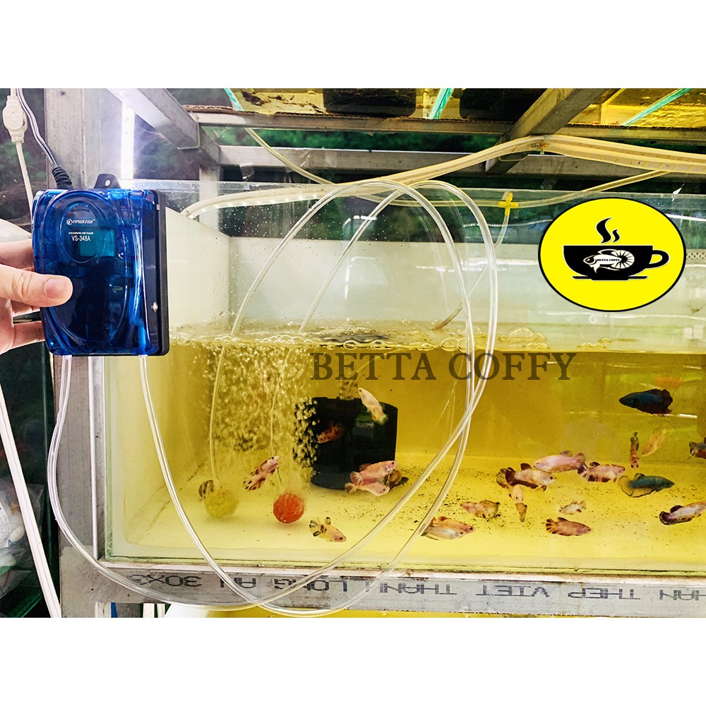 Máy bơm oxy hồ cá VIPSUN FISH VS 🍂
