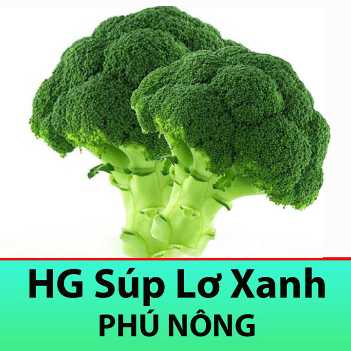 Hạt Giống Súp Lơ Xanh (Bông Cải Xanh) 0,5GR Chịu Nhiệt, Năng Suất Cao