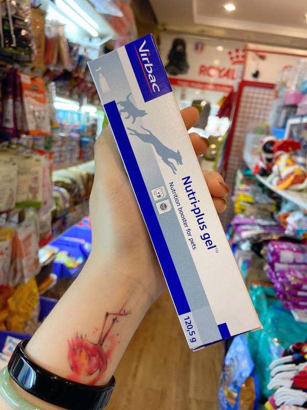 Gel dinh dưỡng Nutri-plus Virbac dành cho chó mèo ( chính hãng Virbac)
