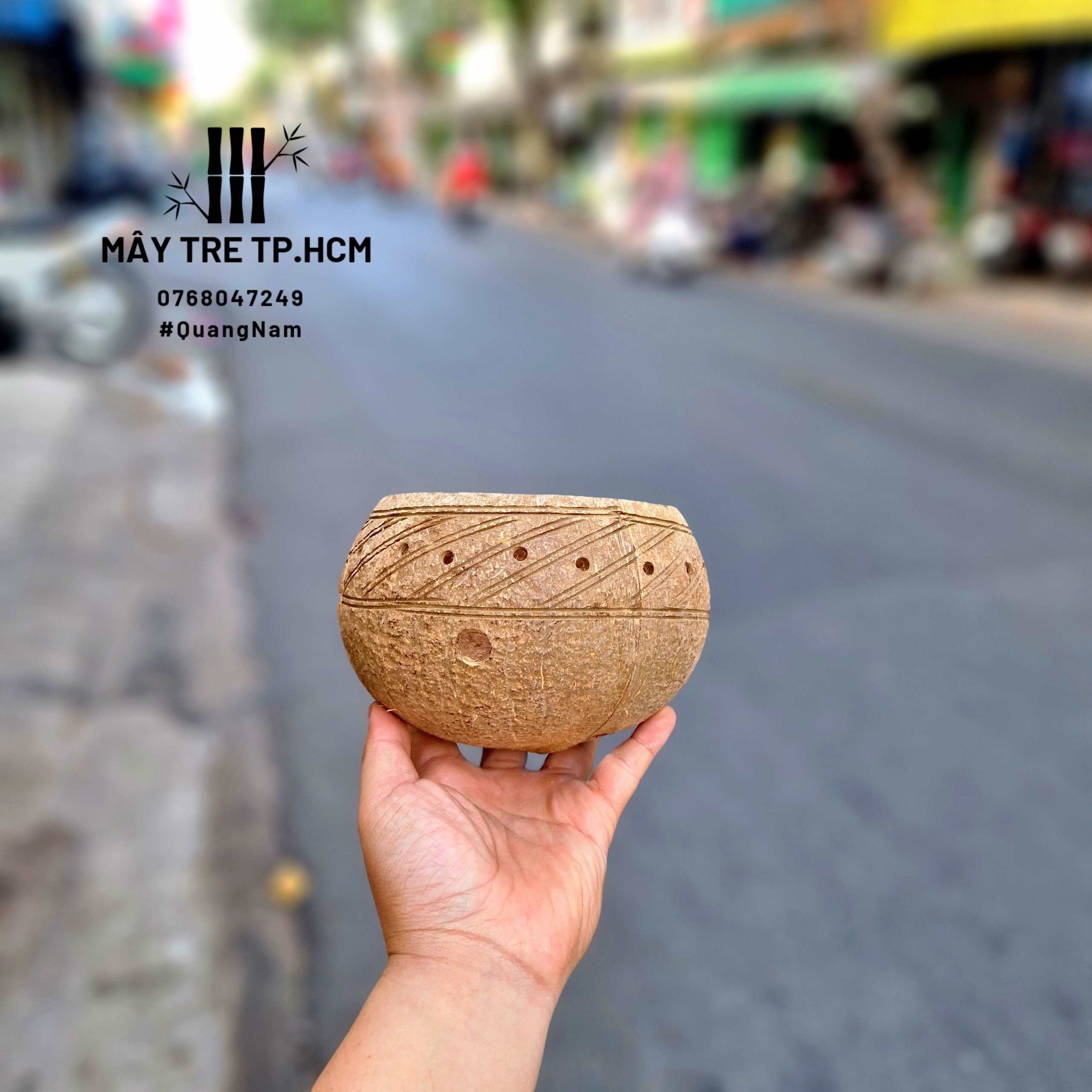 Chậu gáo dừa trồng sen đá, đồ trang trí