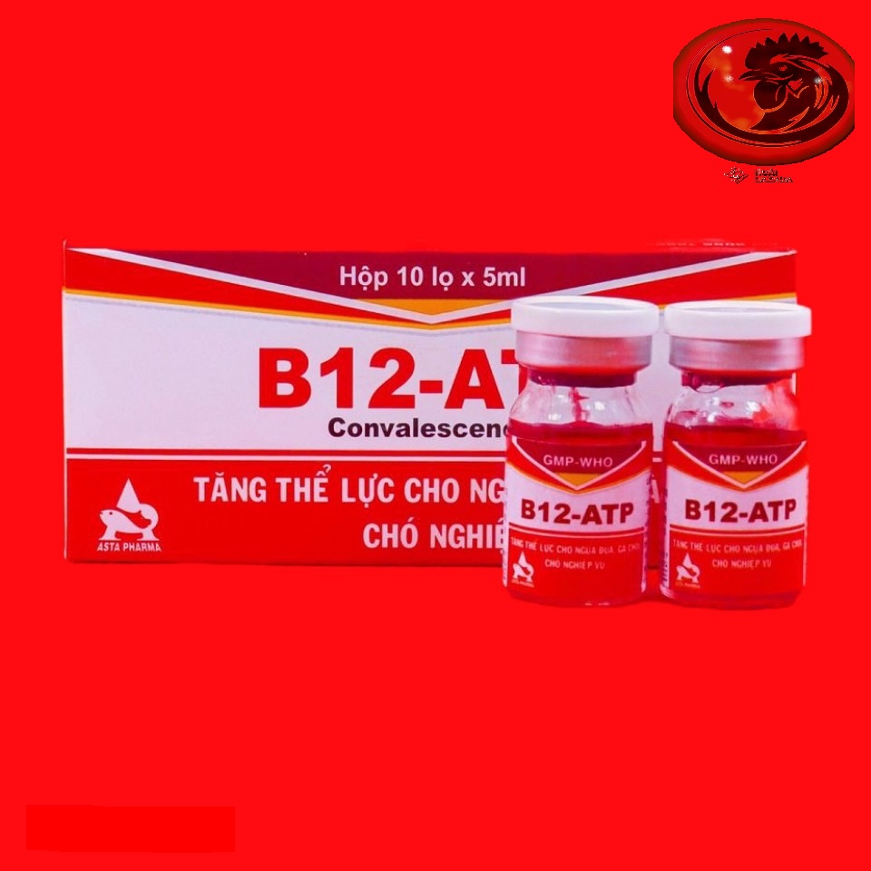 COMBO 10 LỌ Thuốc tăng lực cho gà đá B12 ATP