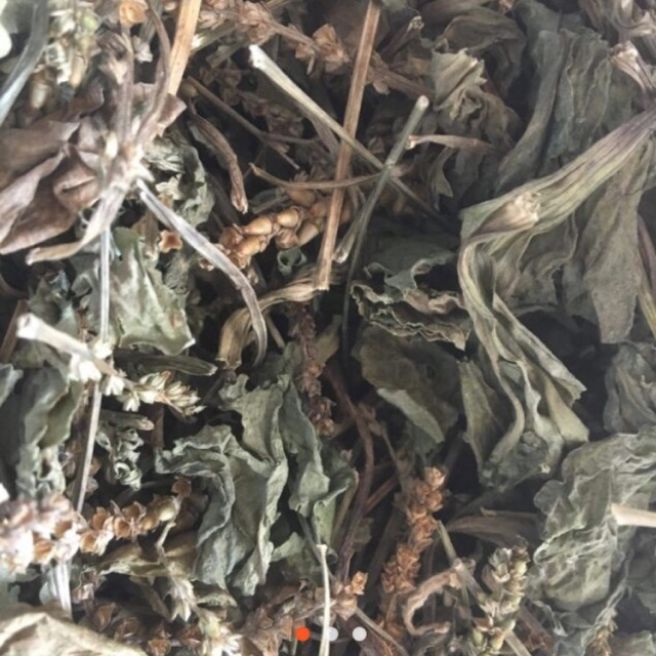 500g cây bông mã đề khô