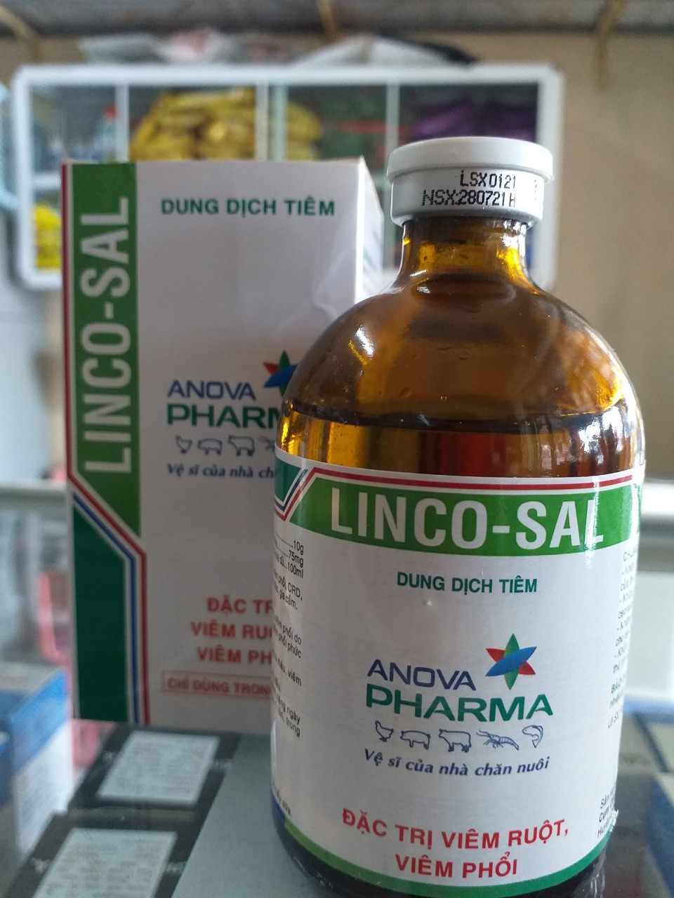 LINCO-SAL 100ml - VIÊM RUỘT, VIÊM PHỔI