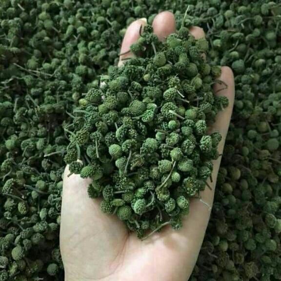 500g nụ hoa tam thất bao tử