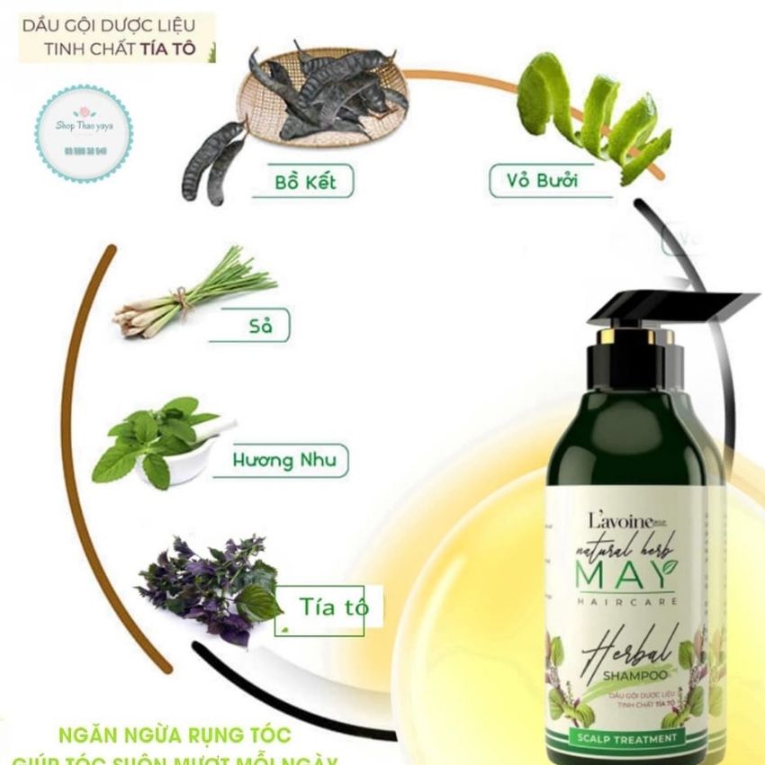 COMBO GỘI XẢ MAY - TINH CHẤT TÍA TÔ - LAVOINE