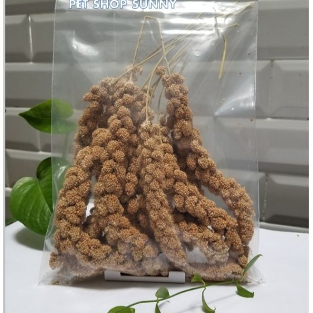 Kê Chùm Mượt Lông Cho Hamster, Sóc