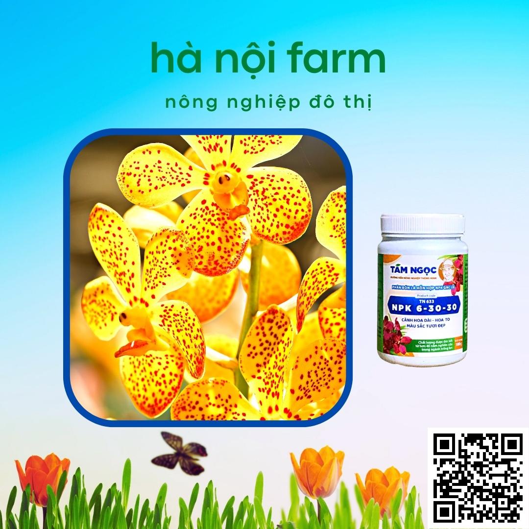 phân bón lan NPK 6-30-30 Tám ngọc 100g