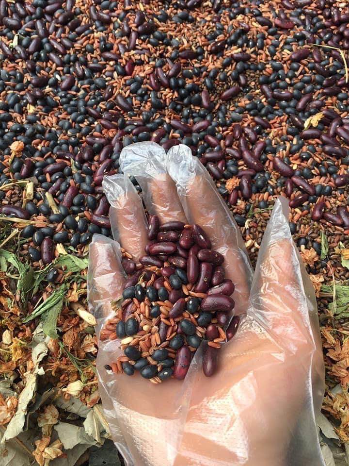 Trà Gạo Lứt Đậu Rang 500gram