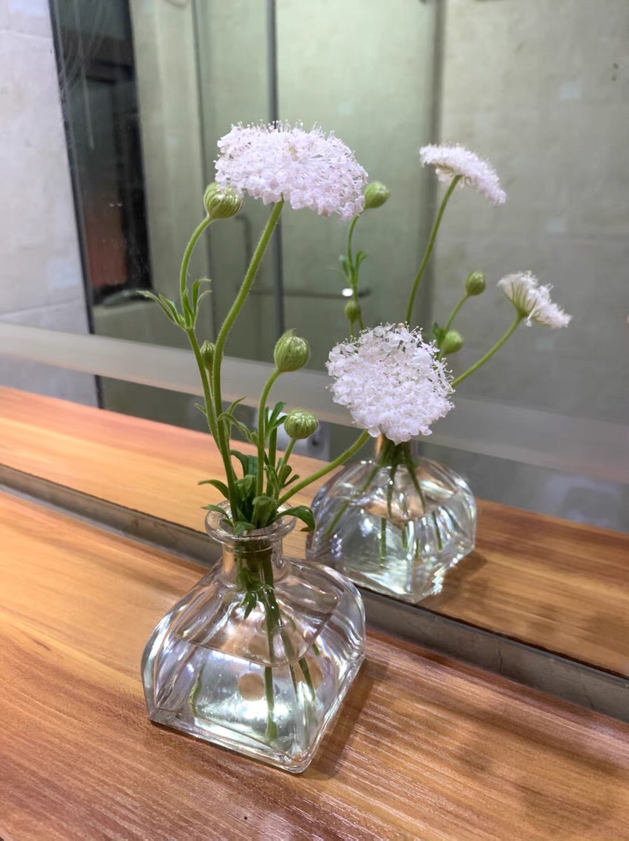 Bình Hoa Thủy Tinh Mini - Bình Bông Lọ Hoa Nhỏ