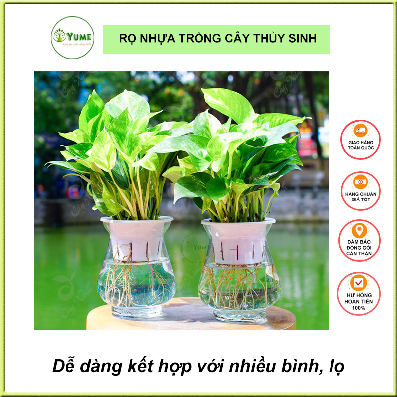 Rọ Nhựa Trồng Cây Thủy Sinh Thủy Canh