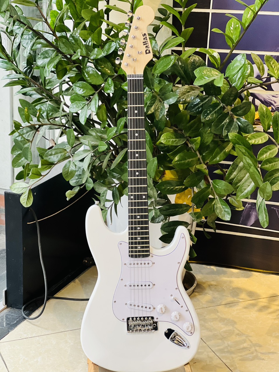 Đàn guitar điện cho người mới chơi-Hàng nhập khẩu