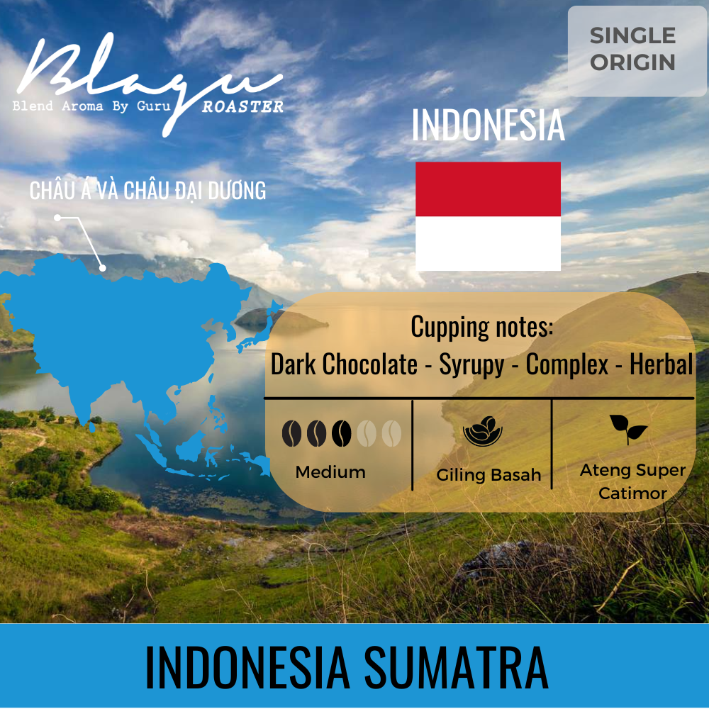 [HCM]CÀ PHÊ BLAGU ĐÃ HẠT RANG INDONESIA SUMATRA MEDIUM ROAST 100G