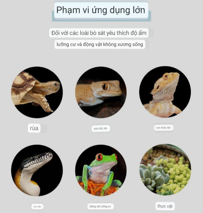 Lót chuồng cho Rùa, Bò Sát JONSANTY (mùn dừa, vỏ thông, rêu)