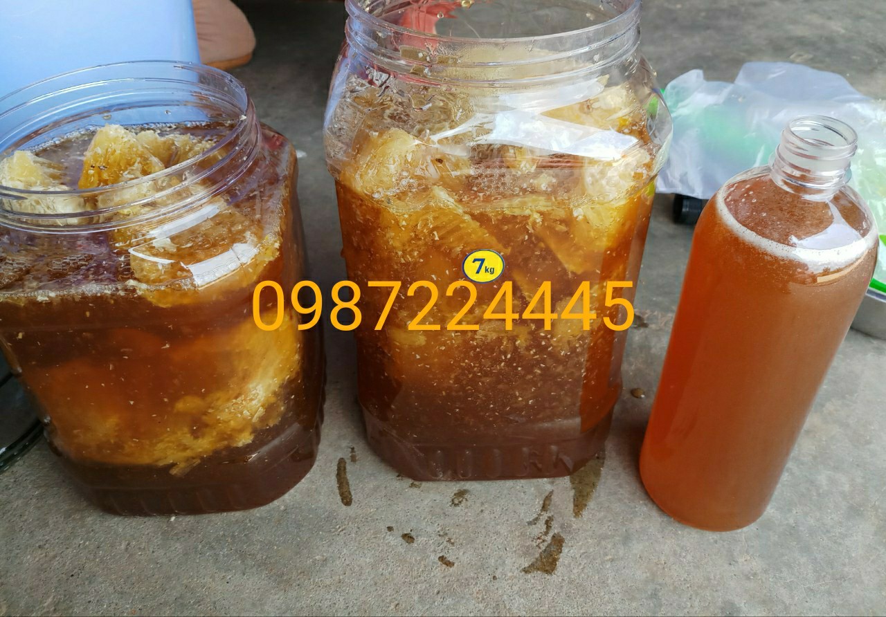 MẬT ONG RỪNG NGUYÊN CHẤT (RỪNG QUỐC GIA KONKAKING GIA LAI)