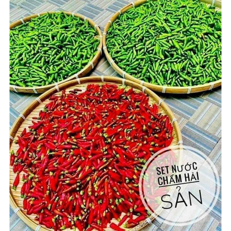 1KG 3 CHAI NƯỚC CHẤM HẢI SẢN 3 VỊ