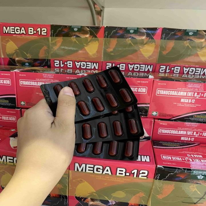 [HCM]Vitamins Cho Gà Mega B12 Hộp 100 Viên