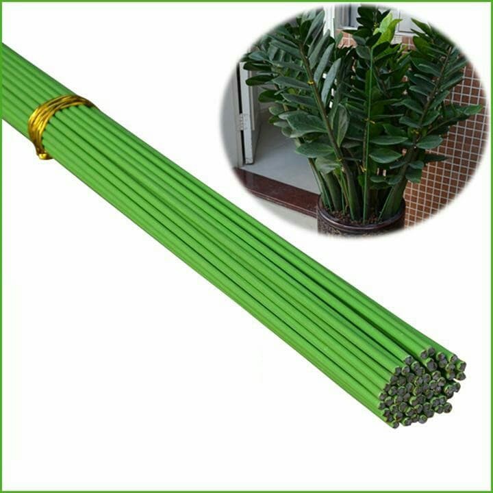 1kg que cắm lan loại 1m tặng kẹp lan