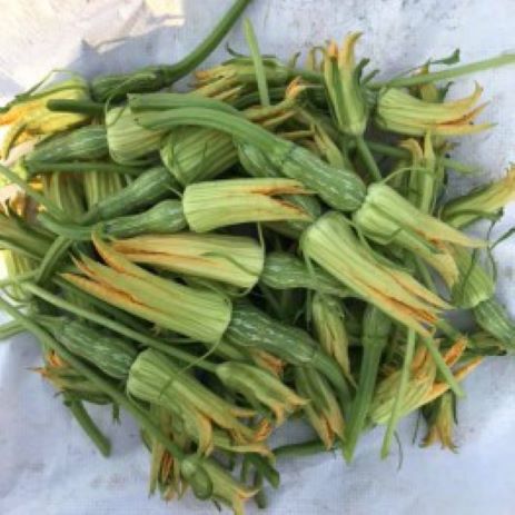 Hạt_Giống_Bí_Siêu_Nụ 15 hạt ( tặng kèm kích mầm và phân bón )