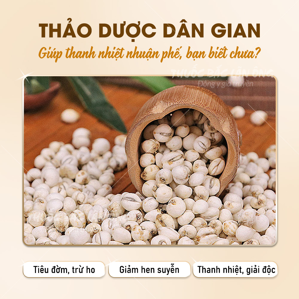 Xuyên bối mẫu 100g, bối mẫu tứ xuyên, khô, thơm, hạt đều, không lẫn tạp chất - Lãn Ông