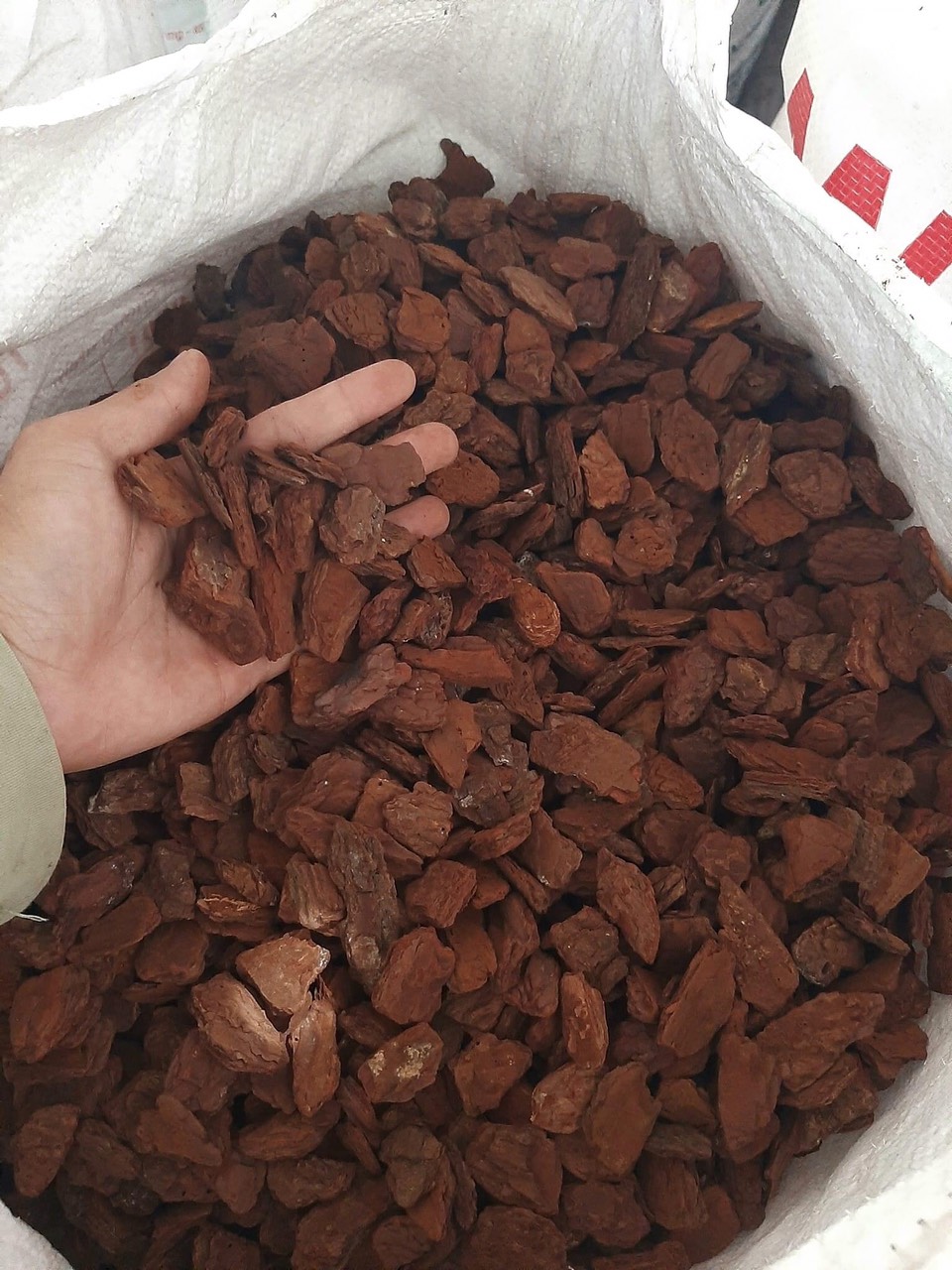 Vỏ thông trồng lan 1kg