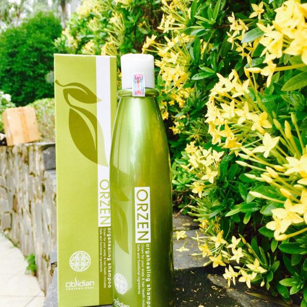 Dầu gội chống rụng tóc Orzen Orgahealing Shampoo 320g
