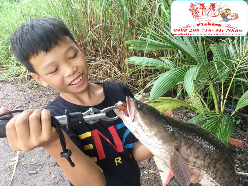 Nháy Hơi Câu Cá Lóc Tí Nị Frog