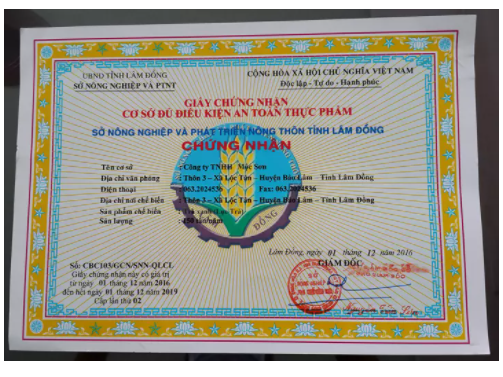 [HCM - Mã giảm 3%] 500Gr Lục Trà Thượng Hạng Mộc Sơn