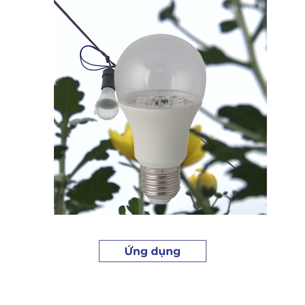 Đèn led trồng hoa cúc 9W Rạng đông Model: LED HC A60/9W 3000K
