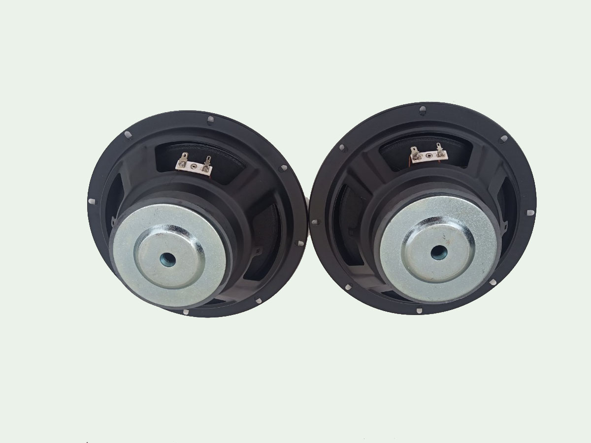 loa bass 20 từ 100