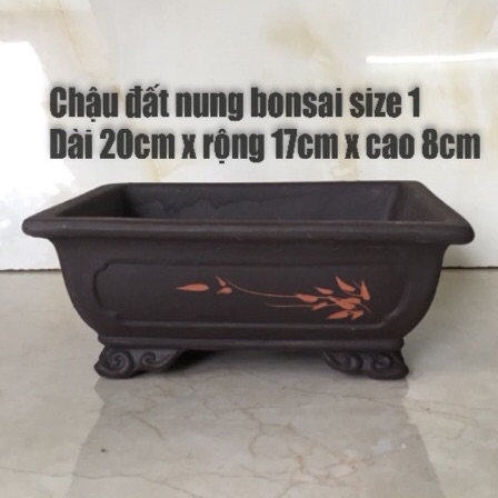 Chậu đất nung bonsai chữ nhật ( size 1)