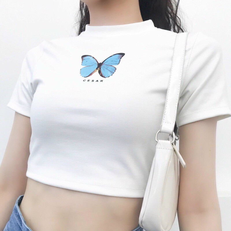 💕ÁO CROPTOP BANAWA CASAR