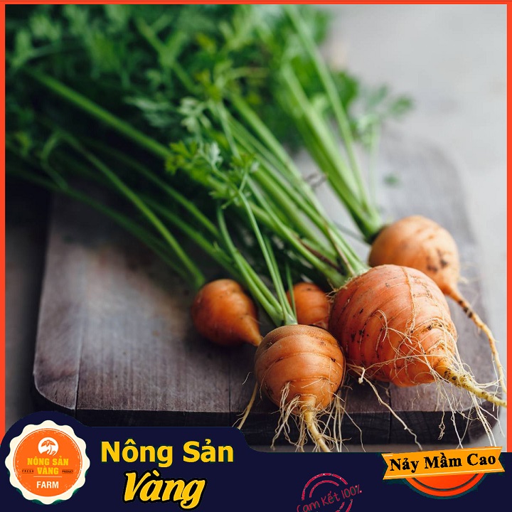 [HCM]Hạt giống Cà Rốt Củ Tròn ( 05 Gram ) - Nông Sản Vàng