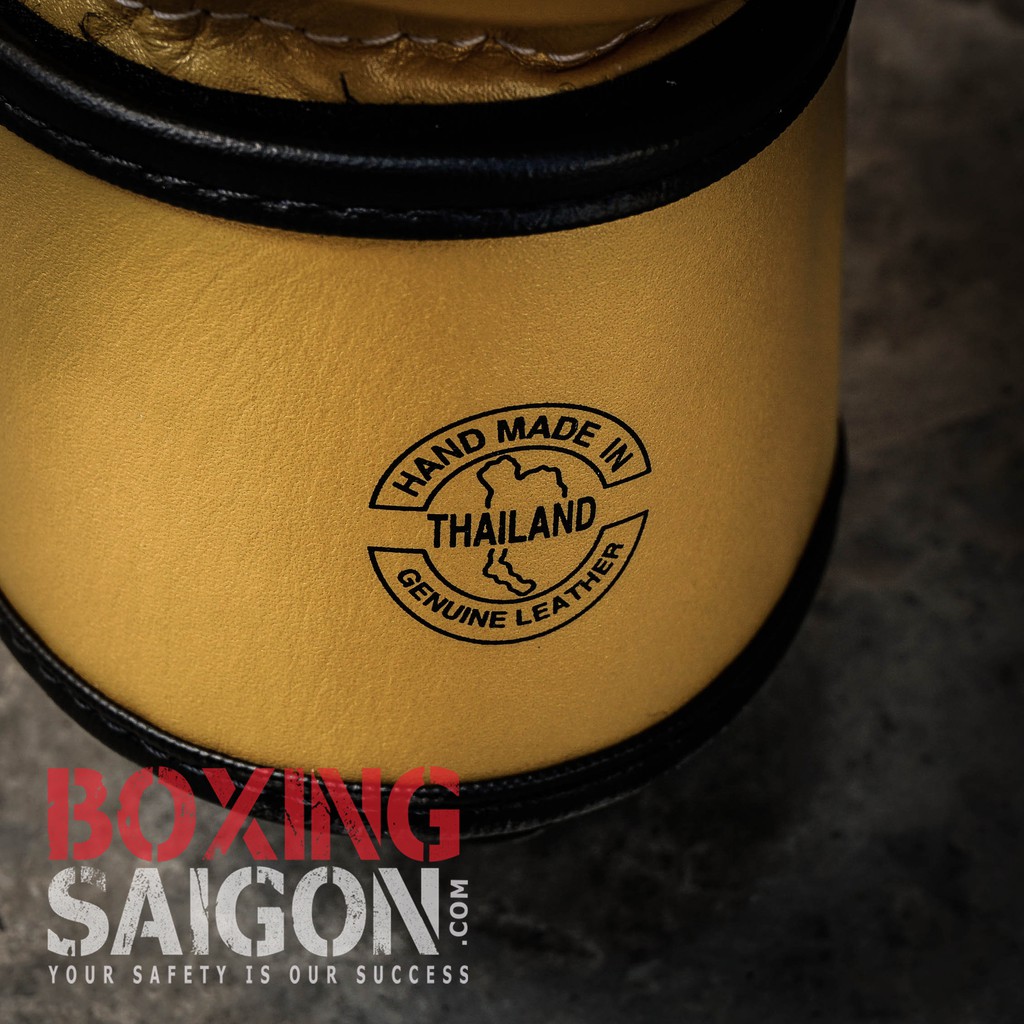 Găng tay boxing Fairtex BGV1 Falcon