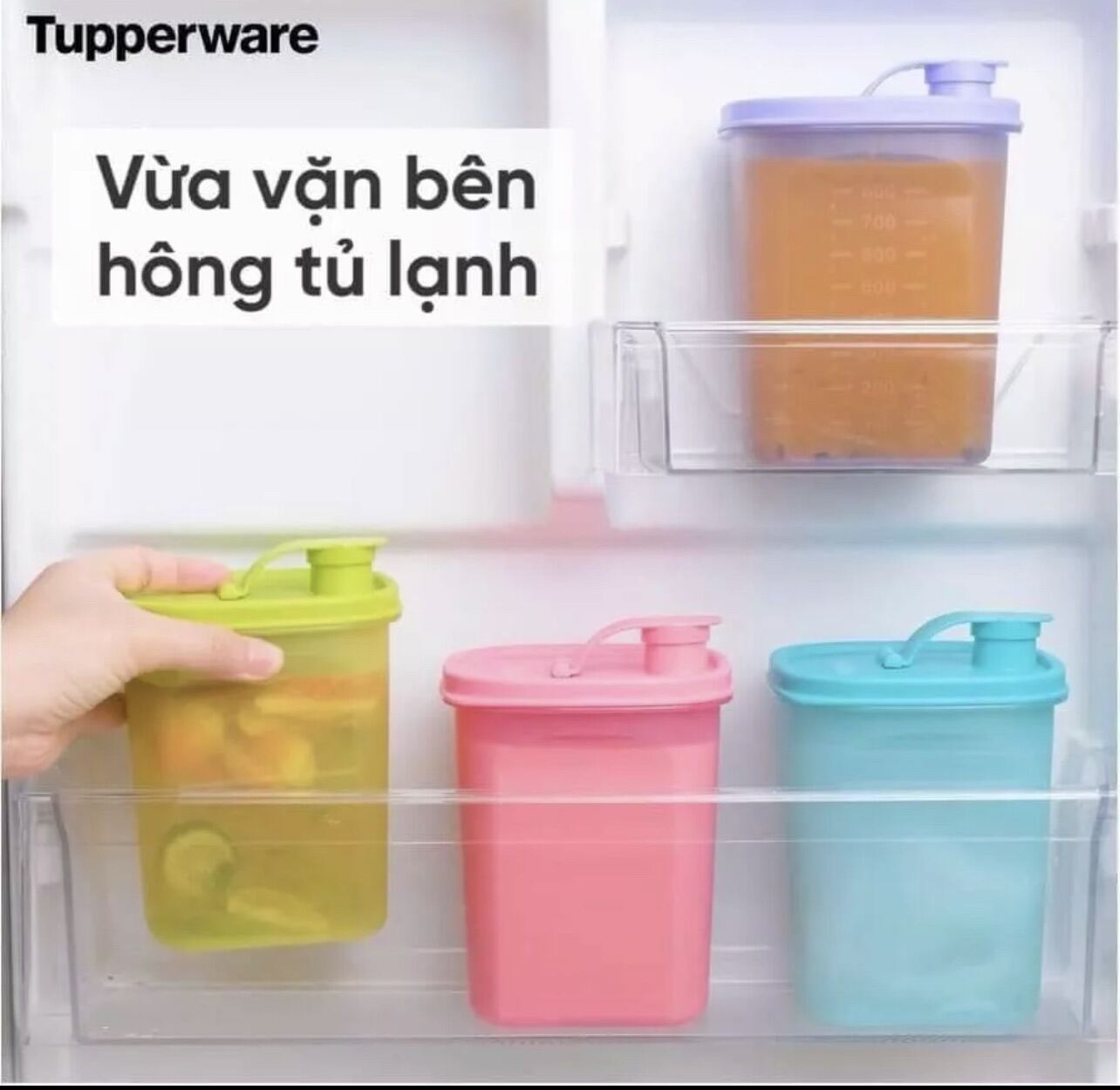 Bình nước Tupperware Slim Line 350ml & 1L