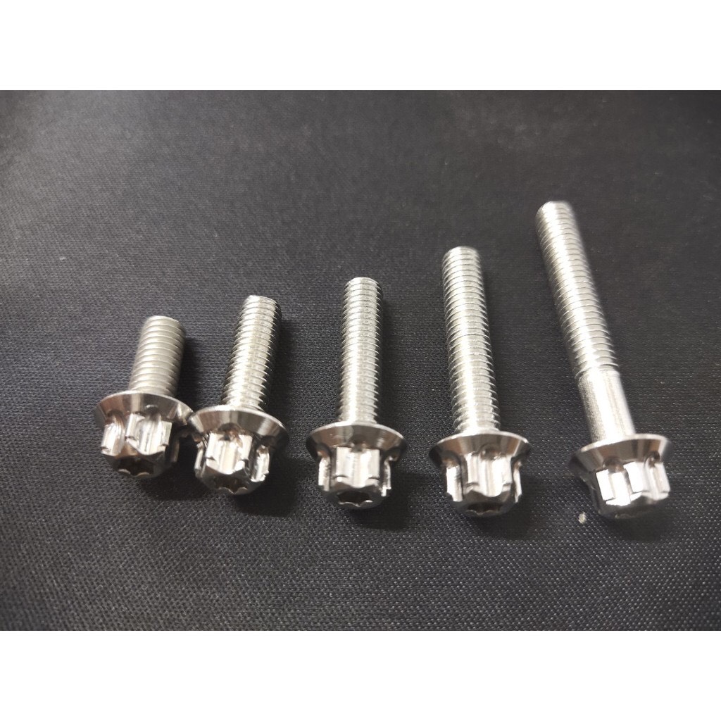 Ốc Salaya size từ 6li1 phân tới 6li9 phân