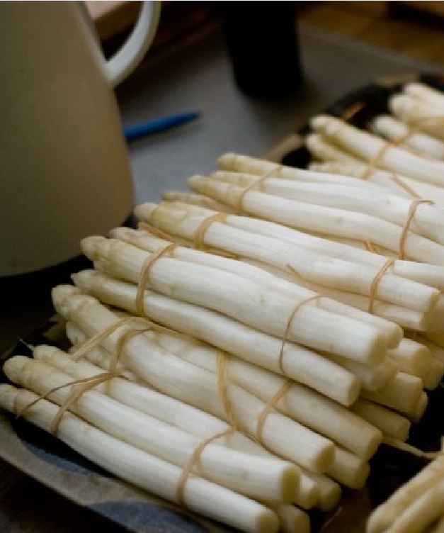 Hạt giống Măng Tây Trắng 20 hạt  ( tặng kèm 3 viên nénkích thích ươm hạt )