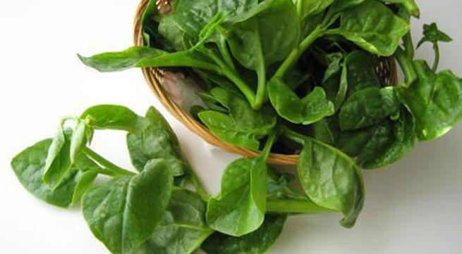 RAU MỒNG TƠI CAO SẢN (gói 20g)
