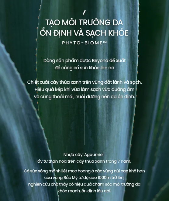[Beyond Official] Dung dịch tẩy trang Beyond Phytoganic Cleansing Liquid 200ml