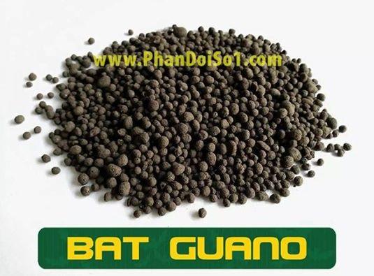 Phân Dơi Hữu Cơ BAT GUANO - 5kg