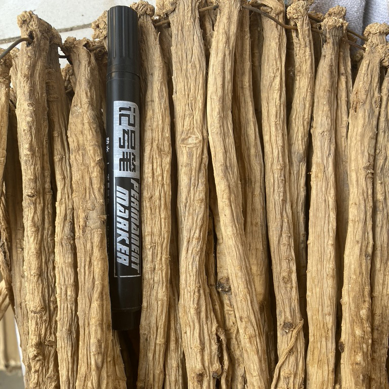 Đẳng Sâm Khô 100Gr ( Đảng Sâm )