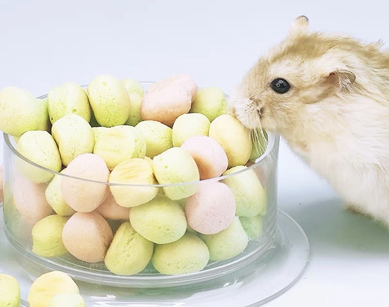 bánh sữa Macaron mini dành cho thú nuôi ( chó mèo thỏ bọ hamster sóc,...) - T3 PETS SHOP