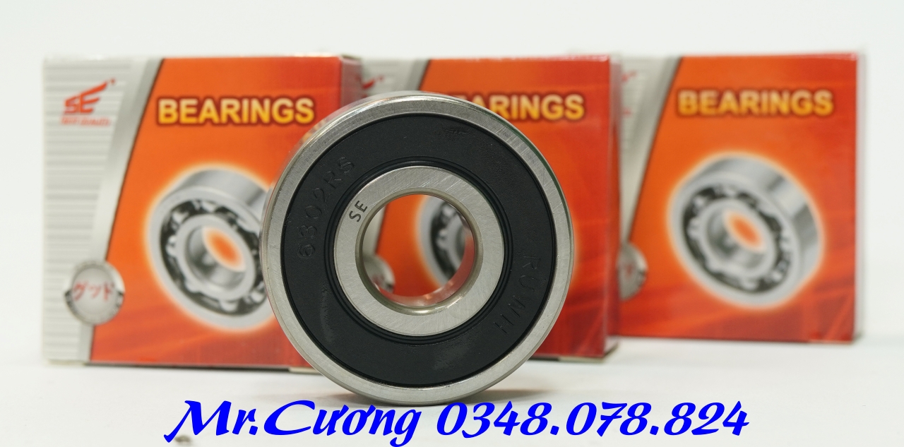 Vòng bi (bạc đạn) xe máy 6301