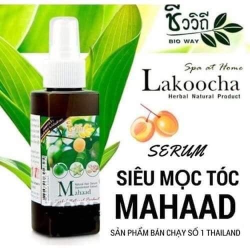 XỊT MỌC TÓC MAHAAD THÁI LAN